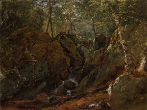 Cascata di Catskill da John Frederick Kensett