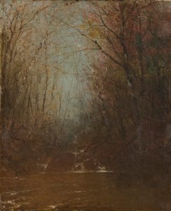 Interno della foresta con ruscello