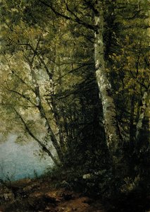 Studio di faggi, 1872 da John Frederick Kensett