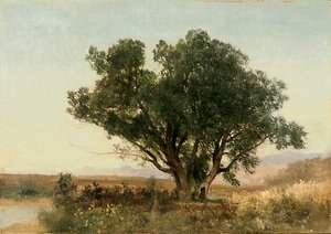 La Front Range, Colorado da John Frederick Kensett