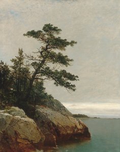 Il Vecchio Pino, Darien, Connecticut da John Frederick Kensett