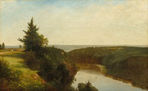 Veduta sul Genesee vicino a Mount Morris da John Frederick Kensett