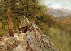 Paesaggio occidentale da John Frederick Kensett