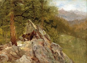 Paesaggio occidentale, 1870 da John Frederick Kensett