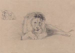 Studio di un leone e studio di una testa di leonessa da John Frederick Lewis