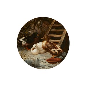 Anatre su una riva del fiume da John Frederick Herring Senior