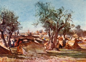 Accampamento beduino fuori dal muro nord di Gerusalemme, 1902 da John Fulleylove