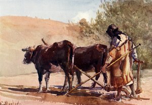 Aratura sul Monte degli Ulivi, 1902 da John Fulleylove