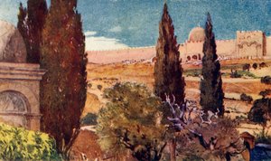 I cipressi del Giardino del Getsemani, 1902 da John Fulleylove