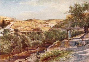 La Valle Superiore del Cedron, guardando a sud da John Fulleylove