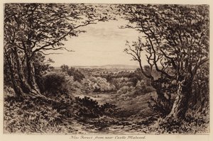 New Forest vicino a Castle Malwood