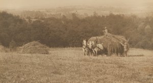 Caricamento del fieno, 1890-1900 (foto)