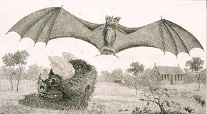 Il vampiro o spettro della Guiana da John Gabriel (after) Stedman