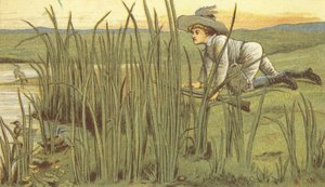 Ragazzo che caccia anatre da John George (after) Sowerby
