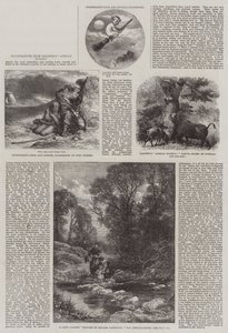 Illustrazioni da Baldwin