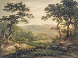 Foresta di Needlewood, Hampshire da John Glover