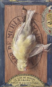 Trompe l da John Haberle