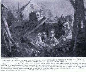 Il caporale Selwood ha vinto un DCM per aver osservato i tedeschi che esploravano vicino agli intrighi britannici a Le Gheer aprile 1915