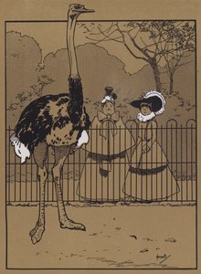 Piume di struzzo da John Hassall