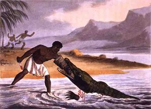 I cacciatori di coccodrilli africani, inciso da Matthew Dubourg (fl.1785-1820), pubblicato da Edward Orme da John Heaviside (after) Clark