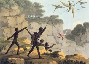 Lancio della lancia, aborigeni che cacciano uccelli dal Nuovo Galles del Sud inciso da Matthew Dubourg (f.1813-1820) pub. 1813