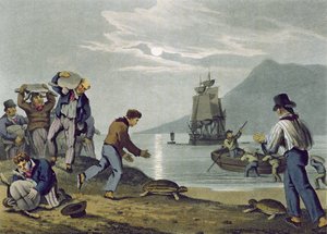 Cattura di Tartarughe a Terra, inciso da Matthew Dubourg, pubblicato da Edward Orme, 1813