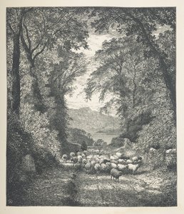 Pecore guidate da un pastore lungo un sentiero, Nature Pictures, Una serie di trenta illustrazioni originali disegnate su legno da J. H. Dell, e incise da R. Paterson da John Henry Dell