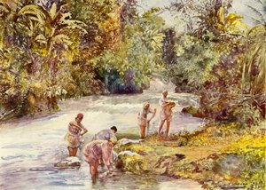 Il fiume Bianco, Giamaica da John Henry Frederick (after) Bacon