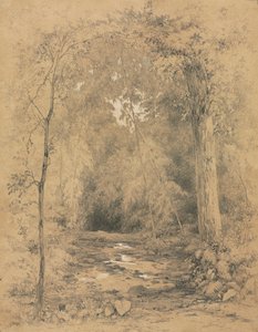 Interno della foresta, c. 1870