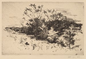 Autunno ad Avondale da John Henry Twachtman