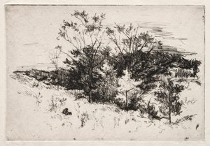 Paesaggio autunnale, 1879-80