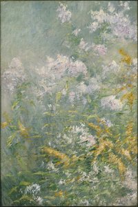 Fiori di prato (Verga d
