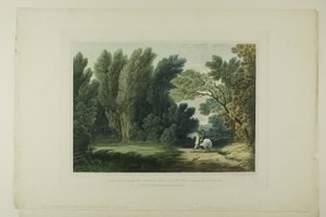 Vista del luogo dove cadde il generale Ross, vicino a Baltimora, tavola sei del primo numero di Vedute pittoresche del paesaggio americano da John Hill