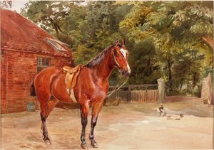 Cortile della scuderia con cavallo