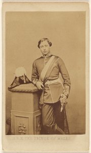 S.A.R. il Principe di Galles. da John Jabez Edwin Mayall