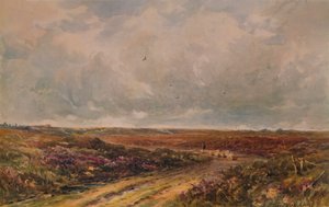 Giornata tempestosa su un comune del Surrey da John Jessop Hardwick