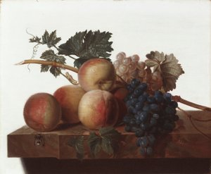 Natura morta da John Johnston