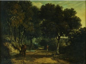 Una strada di campagna ombreggiata