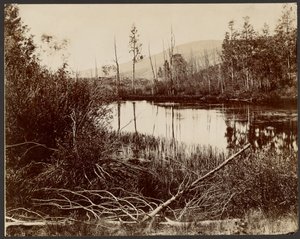 Lago Morain, Acquario PLateau da John K. Hillers