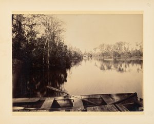 Silver Springs, Florida, vista verso monte da John K. Hillers