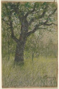 Paesaggio
