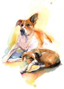 Charlie e Sally