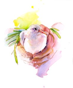 Colomba della pace da John Keeling