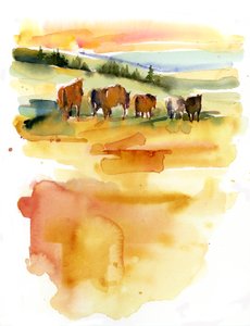Cavalli al tramonto