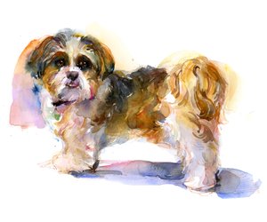 Ritratto di Murphy