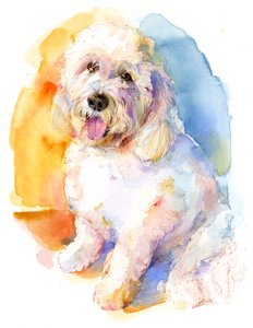Ritratto di Oliver