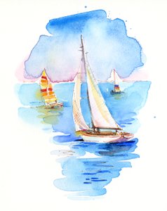 Barche a vela, 2017