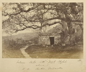 Querce di Valonea con cappella greca sovrastante. B.H. Renkioi, Dardanelli da John Kirk