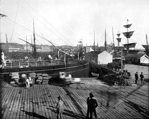 Porto di Auckland, Nuova Zelanda, 1893