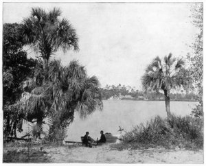 Fiume Indiano, Florida, fine XIX secolo da John L. Stoddard